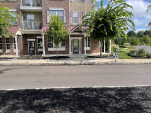Kubio, LLC photo 3